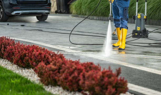Best Spring Cleaning  in Russellville, AR